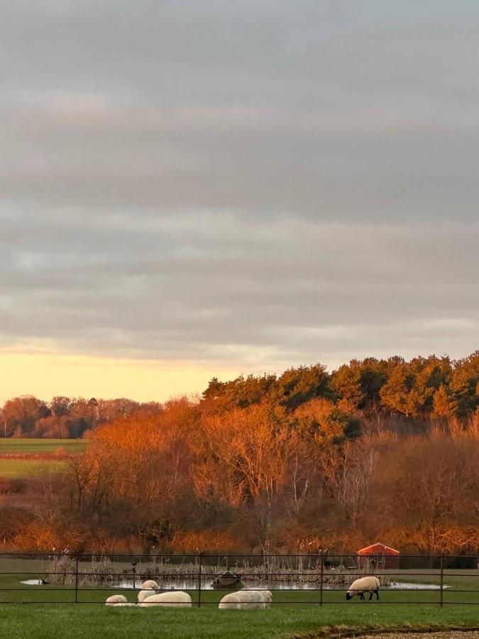 The Pheasantry Bed & Breakfast Уимъндхам Екстериор снимка